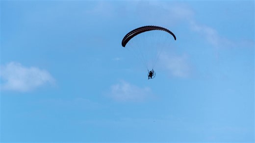 Foal dies after paragliders fly ‘low and erratically’ over horses’ field - Horse & Hound