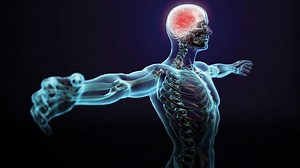 Understanding the Human Body: An Introduction to Anatomy and Physiology