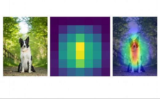 GradCAM深度学习可解释性分析