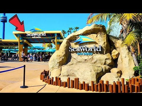 SeaWorld San Diego California Ultimate Full Tour