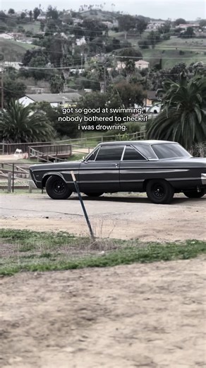 Understanding the Art of Swimming Mastery