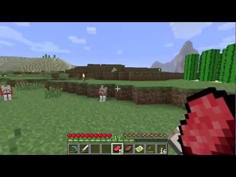 How to Breed Wolves on Minecraft