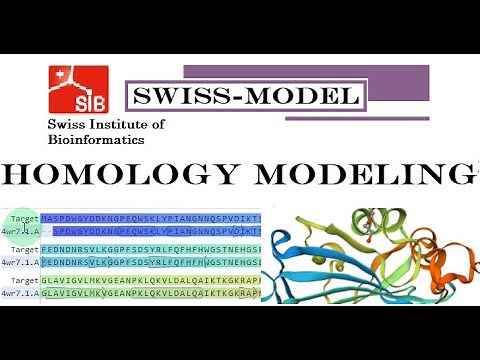 Homology Modelling & Quality Assessment of Protein 3D Structure by Swiss Model ‪@MajidAli2020‬
