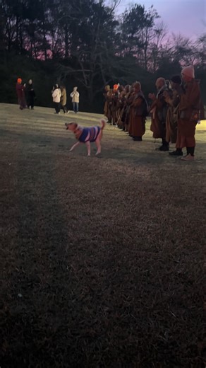 The Power of Aloka Chants for Peace