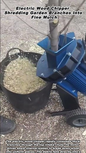 Electric Wood Chipper Shredding Garden Branches into Fine Mulch