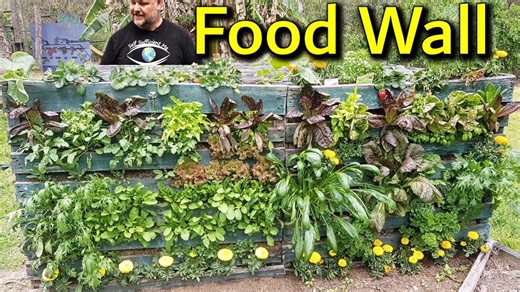 Upcycle your way to a thriving mini garden: pallet walls, jar planters & DIY greenhouses