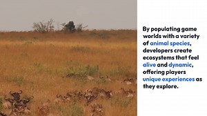 Diverse Wildlife Interactions