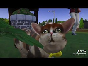 GrayStillPlays but it's only SPLEENS THE CAT (Autotuned ver.)