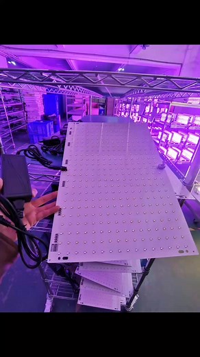 Led growing lights . Top lights for indoor farming #hydroponicfarming #indoorfarming #hydroponics #ledgrowinglight | DX Hydro