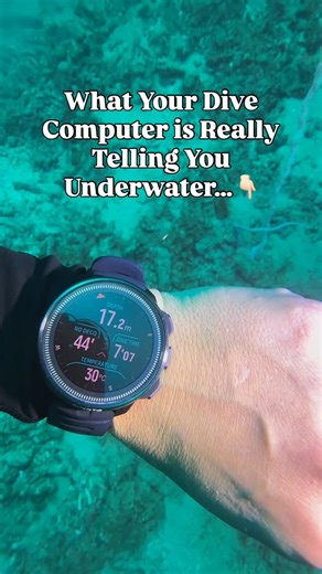 Infinite Blue Scuba on Instagram: "Your dive computer isn’t just a screen — it’s constantly calculating how much nitrogen is in your body and how long you can safely stay at depth. Here’s what the key info means: • Depth – How deep you are right now. Deeper = faster nitrogen loading. • NDL (No Decompression Limit) – Time you can stay at this depth and still ascend directly without mandatory decompression stops. • Dive Time – How long you’ve been underwater so far. • Ascent Rate – Warns you if yo