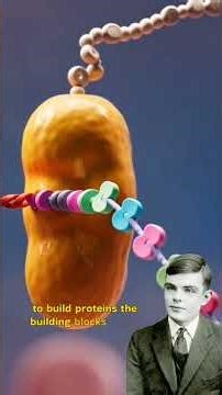Alan-Turing-DNA – The Code of Life#science #history #biology