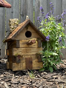 Whimsical Woodland Cabin Bird House - Etsy