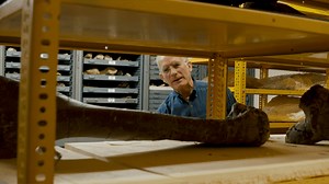15. Exploring Fossils & Paleocurrents