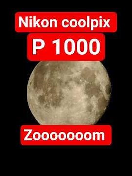 nikon coolpix p1000 zoom test #trending #coolpixp1000
