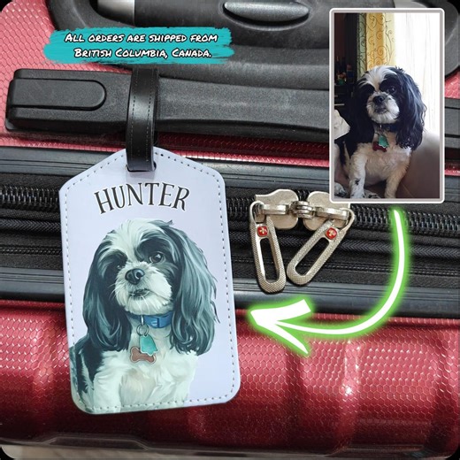 Custom Luggage Tag | Personalized Pet With Photo and Name | Backpack or Carrier - Etsy
