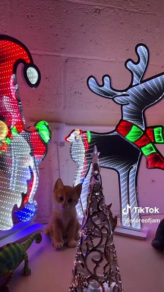 Stunning Infinity Lights for Christmas Decor