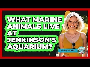 What Marine Animals Live At Jenkinson's Aquarium?