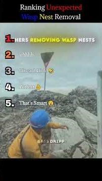 Ranking Unexpected Wasp Nest Removal