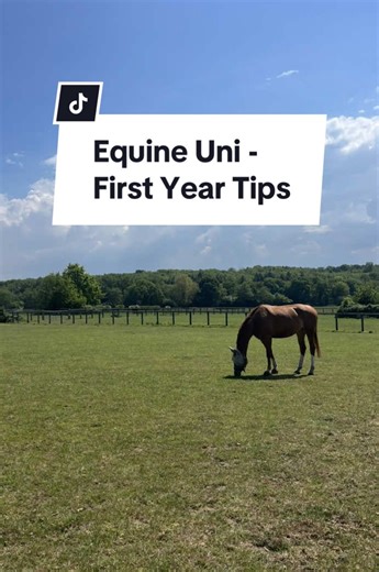 Equine University First Year Tips for Success