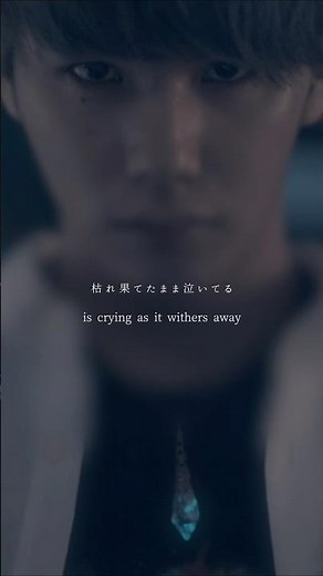 "Until I gather every scattered blue piece" #REVIVER #MYFIRSTSTORY #MV