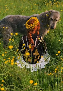 The Moth and Buttercups: Cottagecore Outfit with Irish Wolfhound