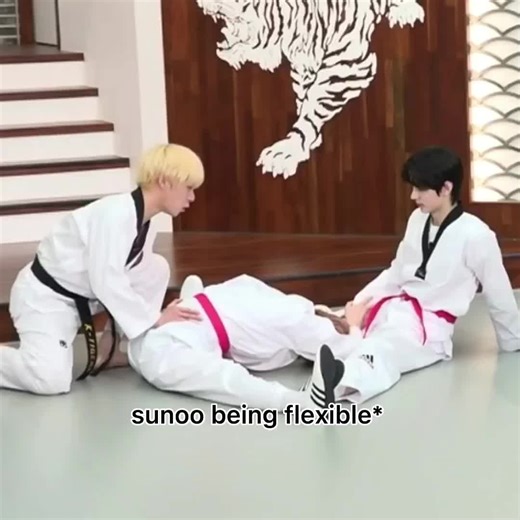 #enhypen #taekwondo #hapkido #fyp #foryoupage