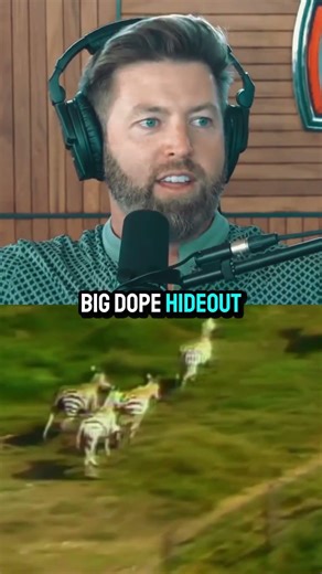 Pablo Escobar Accidentally Created Cocaine Hippos