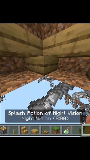 Minecraft x-Ray glitch