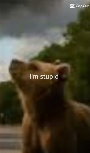 ‪@Fish_cousin_from_andrei‬ ‪@AndreiTurcuofficial‬ and ‪@Poly_editz-69‬