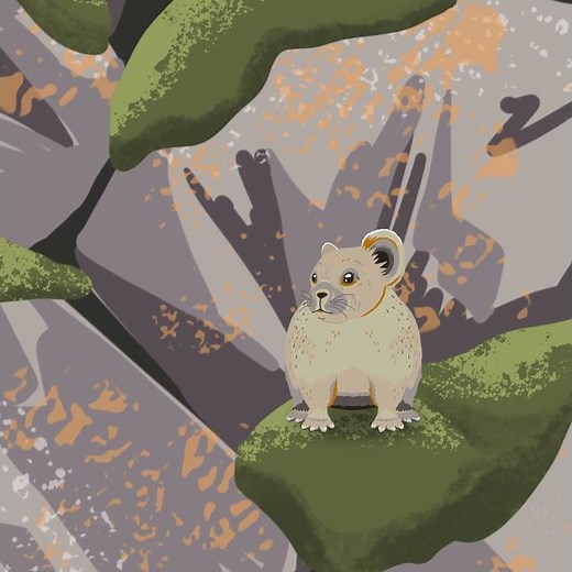 Gorge Wildlife Journey: American Pika