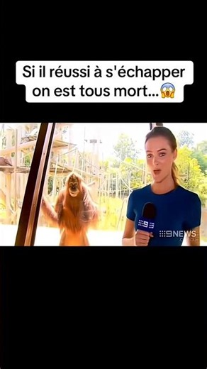 Si il réussi à s'échapper nous sommes finis #divertissement #drôle #culture