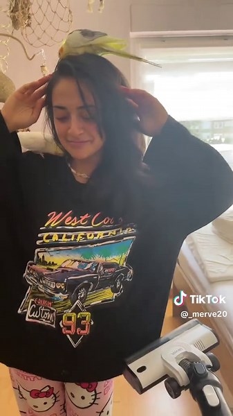 Who wants to take it on? #nymphensittich #fyp #bird #cockatielsoftiktok #cockatiel