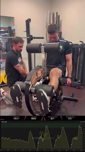 Leg Extension Variations