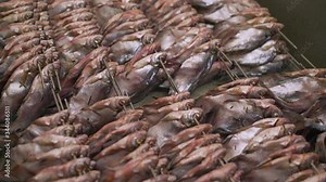 fish factory process. Fish cooked for drying at the fish factory. Processing and drying at the fish factory.