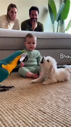 Parrot Barks Like Dog – Cutest Baby Laugh Ever! 🦜🐶❤️