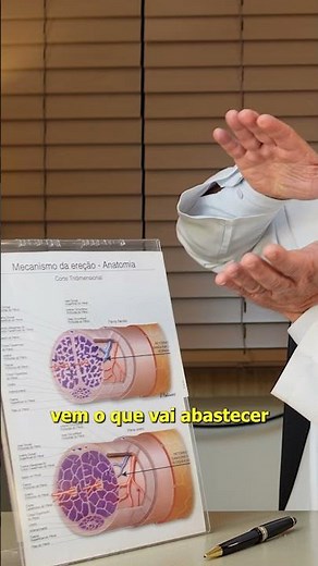 Você sabe como acontece o enchimento da glande? 🤔\nEsse processo é mais interessante do que parece e