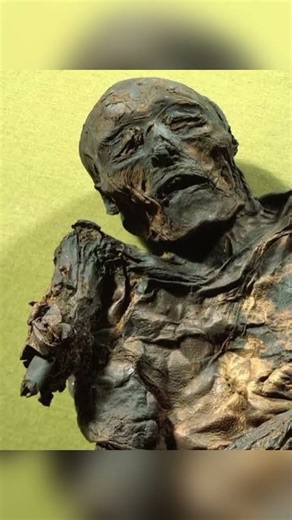 The Bog Bodies: Uncovering the Secrets of Europe's Ancient Sacrifices