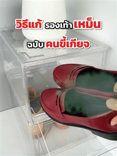 👟 วิธีแก้รองเท้าเหม็นฉบับคนขี้เกียจ! 🍊 บิด โยน หอม จบปัญหารองเท้าเหม็นฟุ้งไปทั่วห้อง✨ 💬เคยมีวีรกรรม 'รองเท้าเหม็น' จนอยากมุดแผ่นดินหนีไหม? มาแชร์กันหน่อย😅 #souji #soujistore #เท้าเหม็น #กลิ่นรองเท้า#blockกลิ่นเท้าออกจากชีวิตคุณ #ลูกบอลดับกลิ่น #New #ดับกลิ่นตู้รองเท้า #แก้รองเท้าเหม็นอับ #ดับกลิ่นรองเท้า