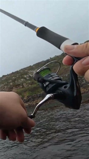 Vinilo AliExpress Brutales #spinning #fishing #rockfishing #señuelosdepesca #pescaspinning