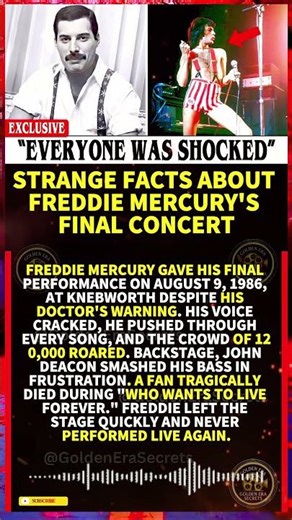 Strange Facts About Freddie Mercury's Final Concert#shorts #viral