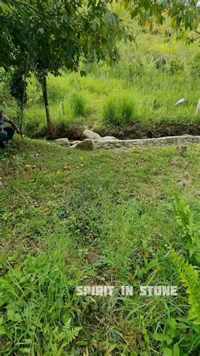 5.4K views · 96 reactions | The Reclining ALIEN FACE of Bada Valley  In Bada Valley, Central Sulawesi, Indonesia, a strange stone figure lies on the ground with an alien-like face. This is only one of hundreds of megaliths in the region including massive stone jars. Who created them, and for what purpose?  Location: Bada Valley, Central Sulawesi, Indonesia #spiritinstone #megalithic #sulawesi #ancientmystery #lostcivilization #indonesia | Spirit in Stone | Facebook