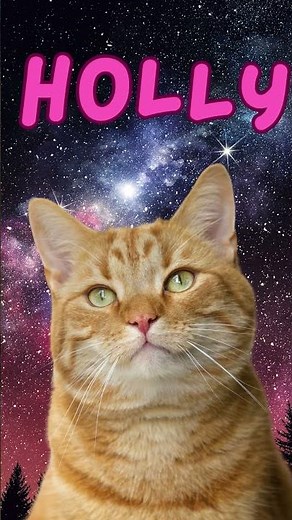 10 Human Girl Names for Cats 👧🐱 | Cute Cat Name Ideas