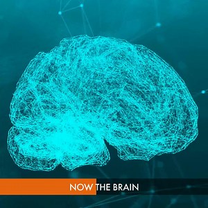 66K views · 189 reactions | Psychedelics have been shown to suppress the part of the brain known as the default mode network (DMN), the neural network responsible for our autobiographical identity (sometimes called the ego). Juan Acosta Urquidi describes how dialing down the DMN means new networks and modes of thinking come into play, opening up our ability to experience life and reality in new ways. | Soltara | Facebook