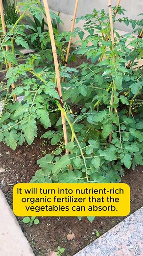 10K views · 59 reactions | Turn kitchen waste into compost #gardeninggoals #gardeningistherapy #gardeningtips #gardeninglife | Garden Tips | Facebook