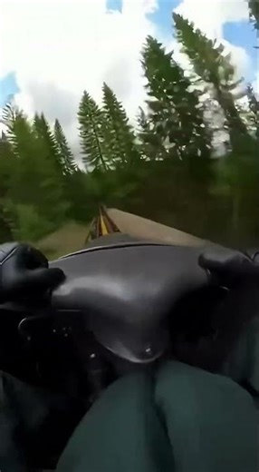 5 Insane Forest Roller Coaster Experiences You Never Knew Existed