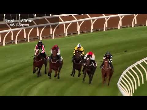 Flemington Jumpouts | 24 April 2014 | Heat 4