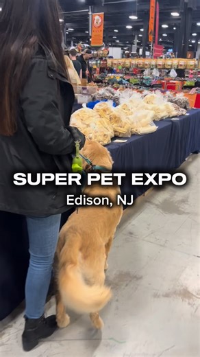 Dog Friendly New Jersey on Instagram: "Did you get your tickets yet?! @superpetexpo NEXT WEEKEND! 📍 @superpetexpo 🗓️ January 9-11, 2026 Fri 1/9: 3pm - 8pm Sat 1/10: 10am – 7pm Sun 1/11: 10am – 5pm New Jersey Convention & Exposition Center 🗺️ 97 Sunfield Ave. Edison, NJ 08837 🎟️TICKETS ON SALE NOW. 🔗 IN BIO! What to Expect: 🦴Leashed, friendly pets are welcome 🦴Over 150 vendors 🦴Off leash play areas 🦴Luring play area 🦴Pet Adoption 🦴Doggie Derby 🦴Microchipping 🦴Animal Communication Spe