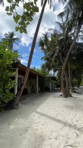 24K views · 349 reactions | From Asian Wok flavors to clear kayaks, golden sunsets, dolphin dances, and turtles beneath the waves — every moment at Vilamendhoo is pure paradise. ✨ #maldives #vilamendhoo #vilamendhooisland #vilamendhoomaldives #islandtime #visitmaldives #maldivesislands | Vilamendhoo Island Resort & Spa | Facebook