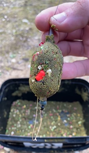 Carp Fishing Rig Breakdown: Perfect Your Setup