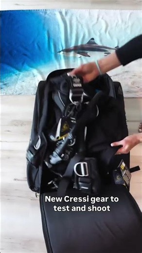 Get ready with me for my next dive trip🦈 #travel #shark #tam